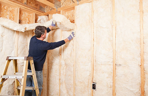 Best Attic Insulation Installation in Austin, AR